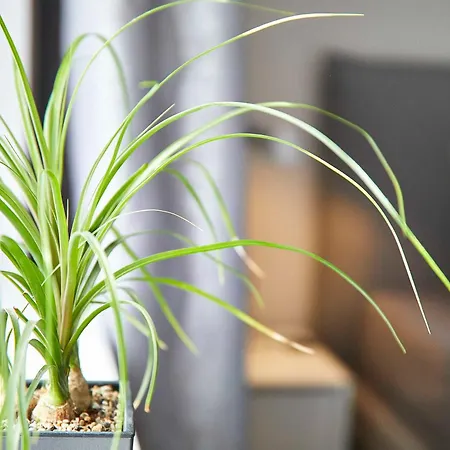 Edo Ferienzimmer Dangast